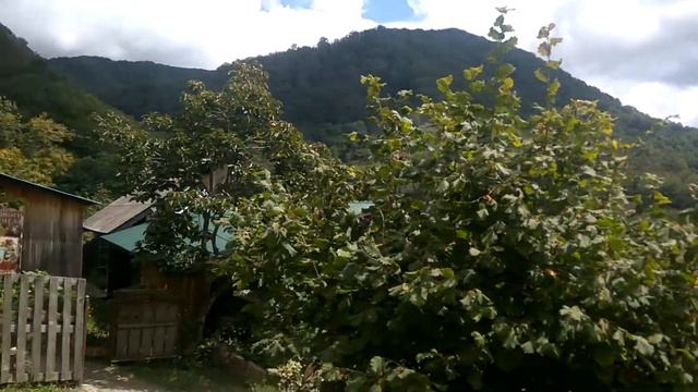 Горное село. Дегустация сыра и вина смотреть онлайн