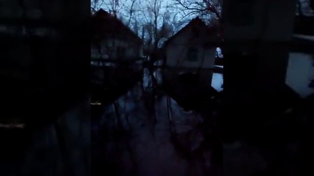 Видео дня ! с Степанки вул Леси Украинки 93