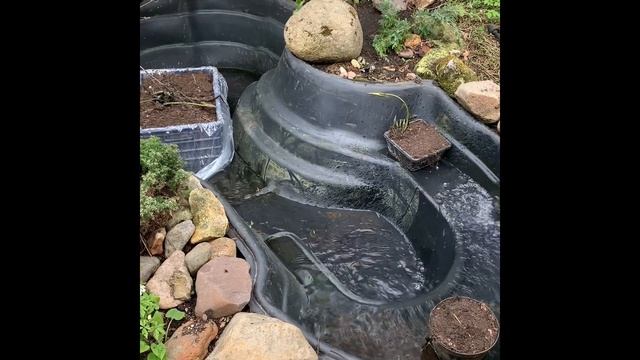 Ландшафтный дизайн уход за прудом нимфеи козы смотреть онлайн