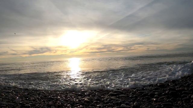 Лоо шум моря 12.12.21 смотреть онлайн