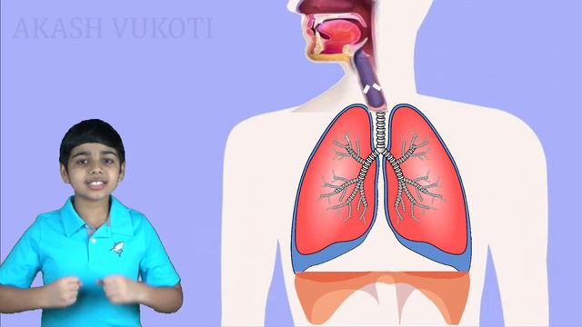 Why Do We Get Hiccups?