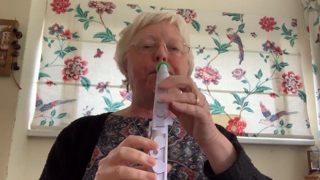 8 Notes Puff the Magic Dragon (C Major). Played on a Nuvo Jsax. смотреть онлайн