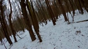 Поймал куницу пока ставил капканы. Охота в Беларуси