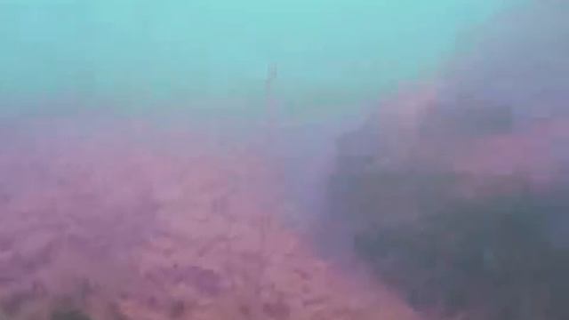 Русалка на Набережной смотреть онлайн