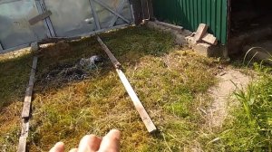 Чтобы трава не росла. Гениальная идея.