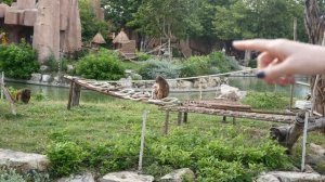 Винперл Нячанг Вьетнам - Всё включено за 38$ (Остров развлечений Vinpearl land, обзор, советы)