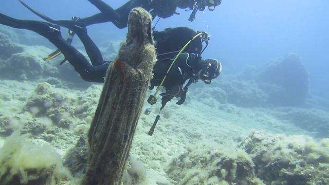 Scuba diving Elba 2017 - Elviskot, Capo di Fonza and Scoglia della Triglia Madonna смотреть онлайн