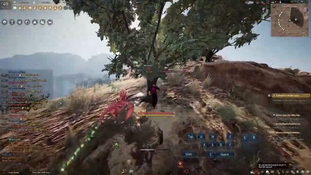 [BDO] Acacia, White Cedar, Elder Tree Sap Guide 2021 смотреть онлайн