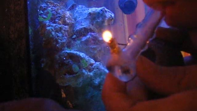 micro bong chunk snap смотреть онлайн