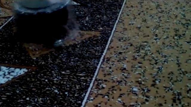 Очень страшный зверь пытается выбраться ) смотреть онлайн