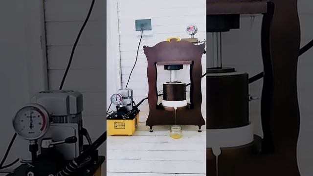 Льняное масло опасно смотреть онлайн