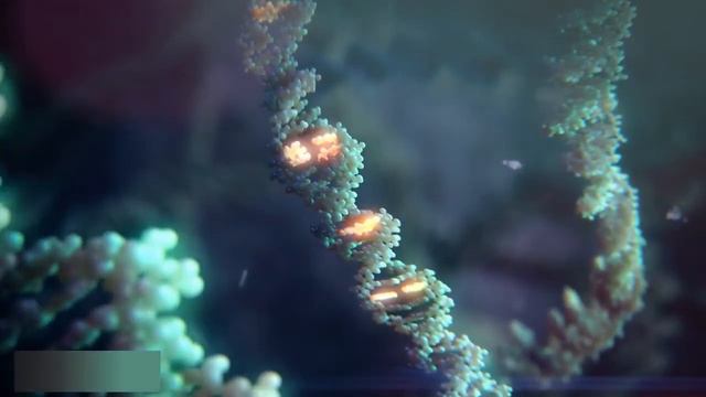 दुनिया की सबसे Expensive Vaccine | World's Most Expensive Vaccine Ever | #Zolgensma смотреть онлайн