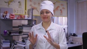 Клиника Ветеринарной Медицины «Кот, Пёс и Ко» (Наш формат 35)
