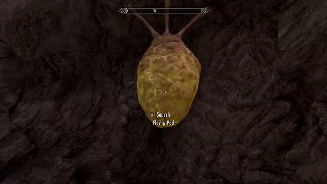 SKYRIM MODS COFFEE REVIEWS The Cause Part 3 смотреть онлайн
