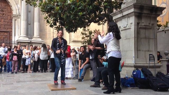 Flamenco en la Catedral de Granada. смотреть онлайн