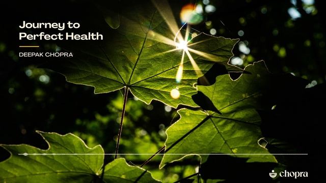 Deepak Chopra: Journey to Perfect Health: A Guided Meditation смотреть онлайн
