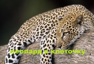 Лоскутное покрывало 130/215 см. (2023г)