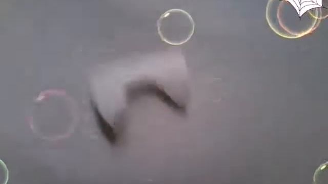 Как сделать клыки вомпира или оборотня смотреть онлайн