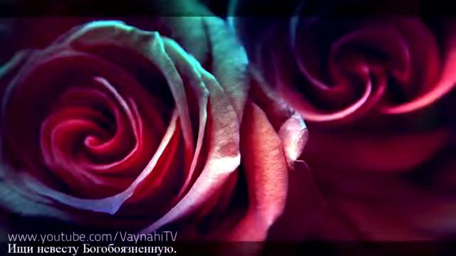 Хьахам 2016 смотреть онлайн