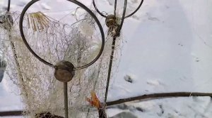 Как клюёт хапуга...