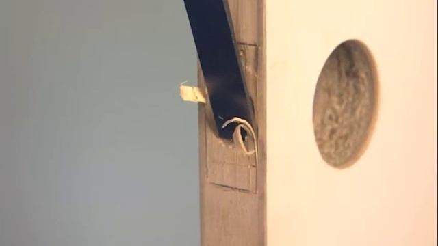 How To Install a Door Handle | Mitre 10 смотреть онлайн