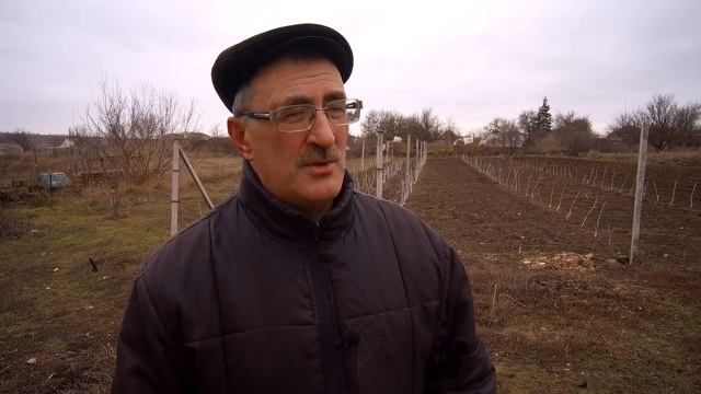 Прививочный секатор или прививочный нож смотреть онлайн