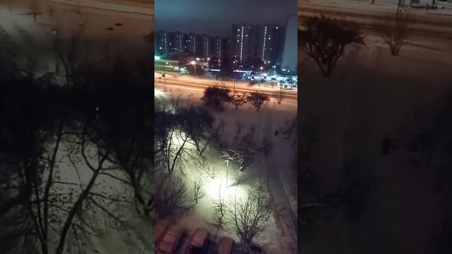 Кот, как чесать, чесалка для кота, расческа #shorts смотреть онлайн