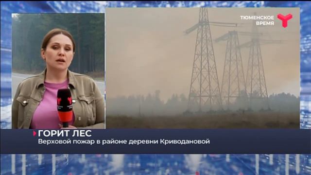 Верховой пожар в районе деревни Криводановой смотреть онлайн