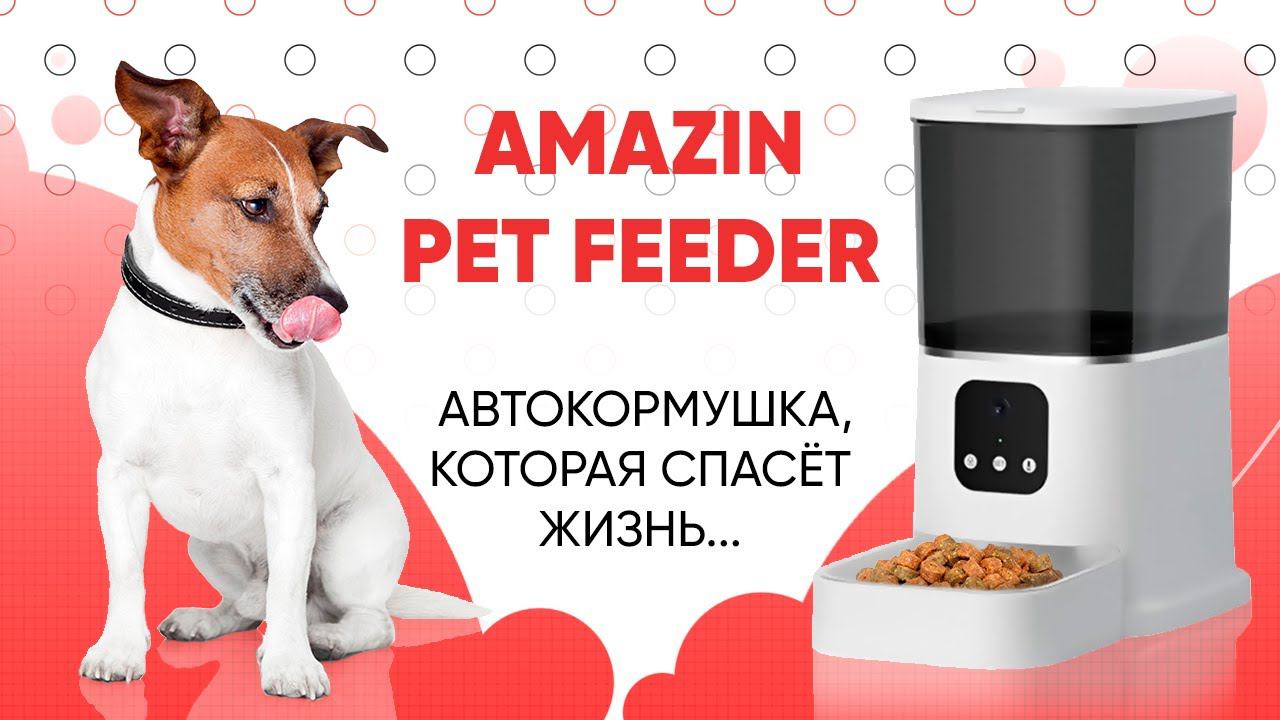 Amazin Pet Feeder – обзор уникальной автокормушки | Amazin.su смотреть онлайн