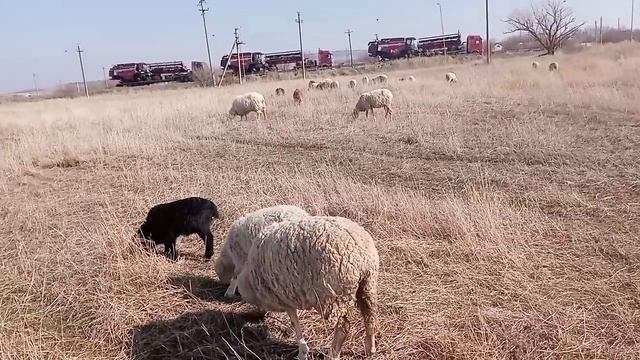 11 марта 2024 г..mp4 смотреть онлайн