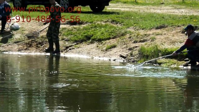 Платная рыбалка смотреть онлайн