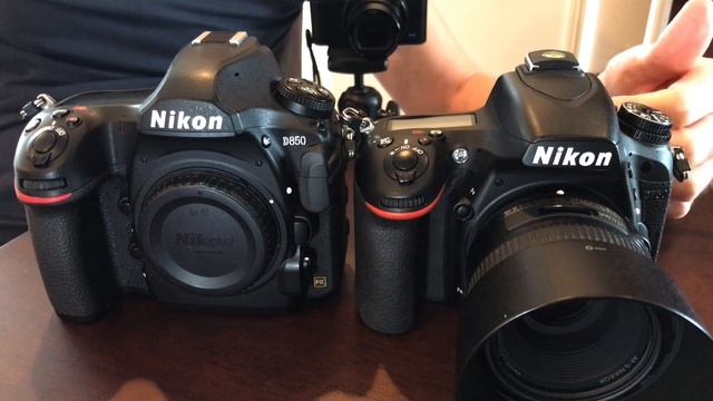 Nikon D750 Set Up (like the D850) for Bird & Wildlife Photography смотреть онлайн