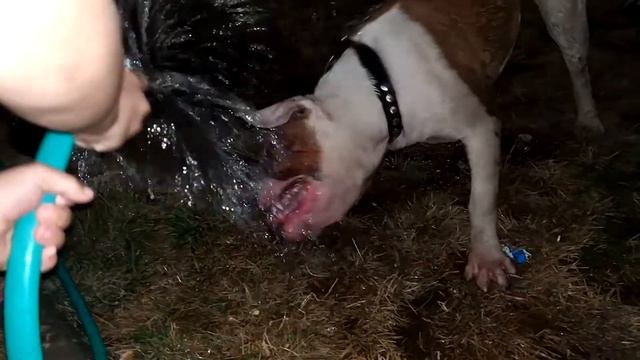 Гром рад шлангу