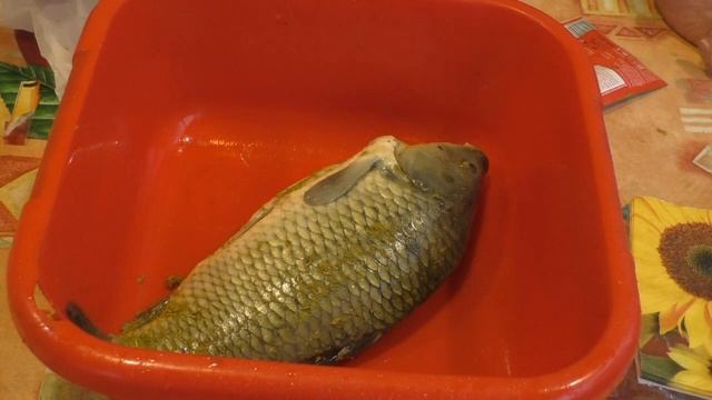 КАРП горячего копчения смотреть онлайн