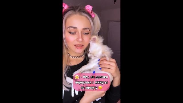 СОБАКА СОУЛМЕЙТА. Все серии 1-4 | nnotochka смотреть онлайн