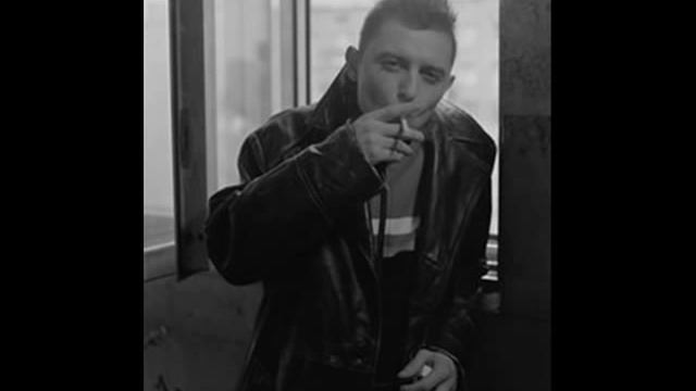 Звери Дельфины смотреть онлайн