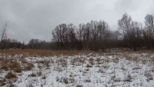 Охота на кабана с ружьем смотреть онлайн