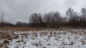 Охота на кабана с ружьем