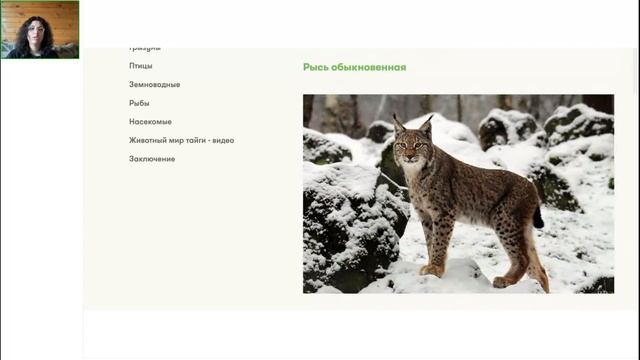 География 8 класс. Открытый урок 30.06.2023 смотреть онлайн