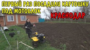 ПЕРВЫЙ РАЗ САДИМ КАРТОШКУ / ВСПАХАЛ ОГОРОД МОТОБЛОКОМ / СКОСИЛ ТРАВУ / ПОСАДИЛИ ОГОРОД / РЕМОНТ ДОМА