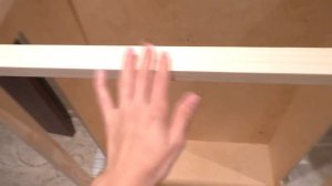 Витрина для шиншиллы своими руками