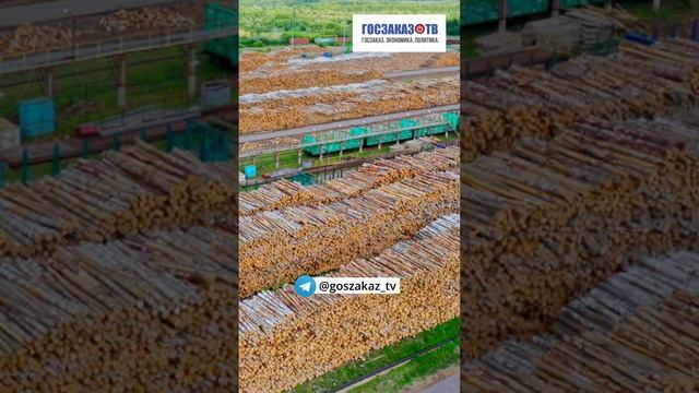 Российская промышленность, на долю которой приходится 30% ВВП вырастет на 3-4 процента. #shorts смотреть онлайн