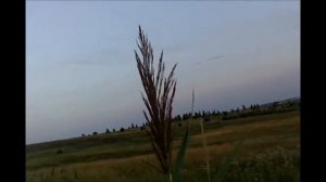Республика Мордовия, Ичалковский р-н., село Тарханово. Венцы