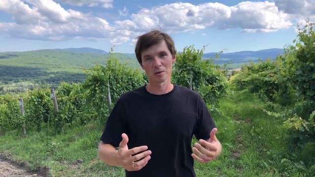 Как питание влияет на практику цигун? смотреть онлайн