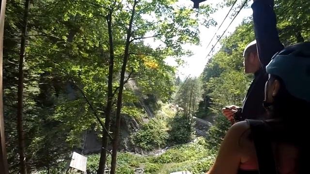 Белка летяга смотреть онлайн