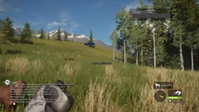 ?the hunter call of the wild ?ОХОТА ПО КРУПНОМУ?ЛУЧШИЙ СИМУЛЯТОР смотреть онлайн