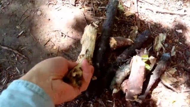 Топливо для дымаря. Чем разжечь дымарь гнилушки.