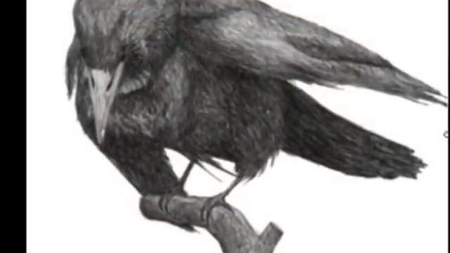 The Raven (Music Version)