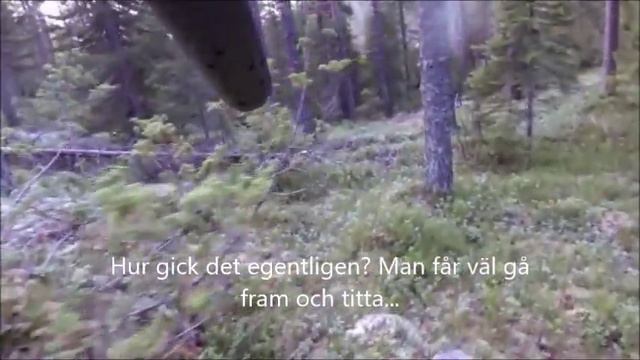 Pinntjuren смотреть онлайн