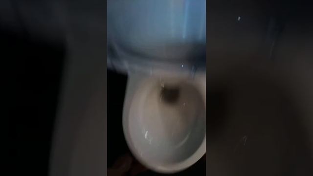 Cersanit nature cleon без ободковый смотреть онлайн